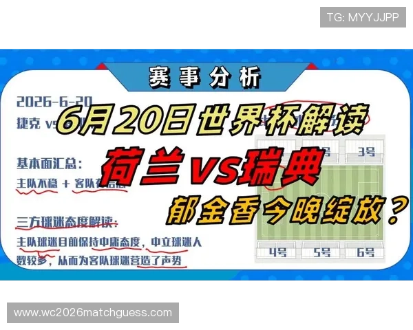 2026年世界杯荷兰与瑞典比赛关键技术统计数据详解与战术分析